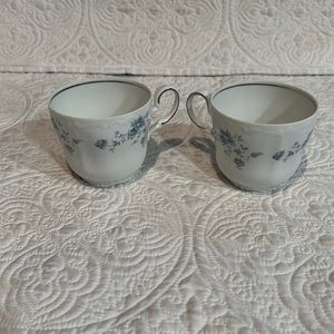 Johann Haviland Bavaria Germany Fine China‎ cups, set of two